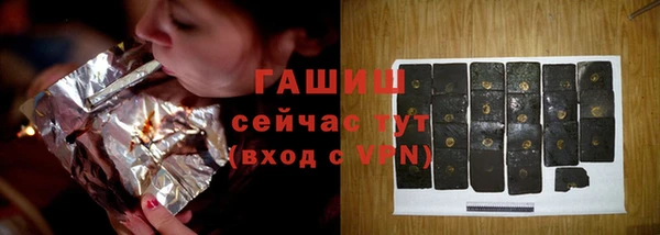 СК Алексин