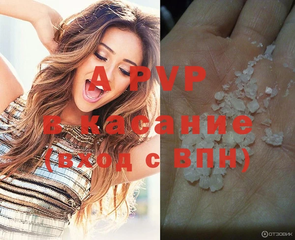 СК Алексин