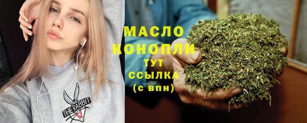 СК Алексин