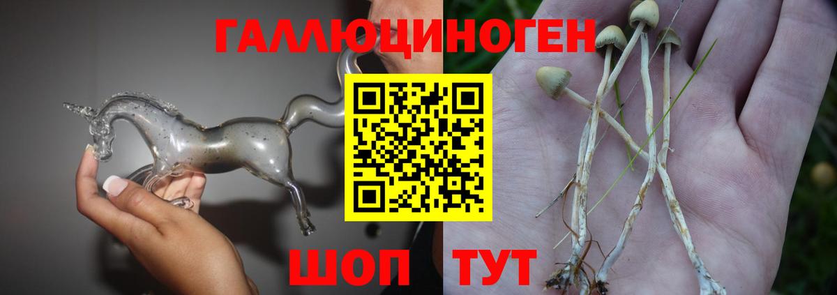 Волжский  Галлюциногенные грибы прущие грибы  что такое   Вход с VPN 